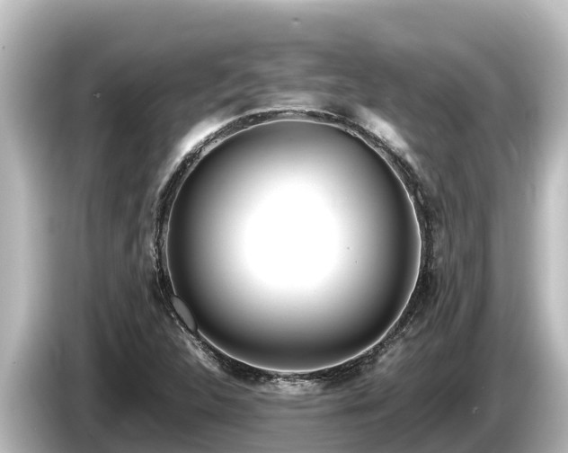 X0000085311312200703161445
