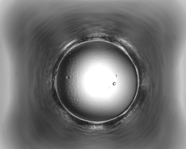 X0000085311313200703161445