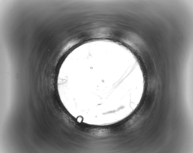 X0000085311314200703161445