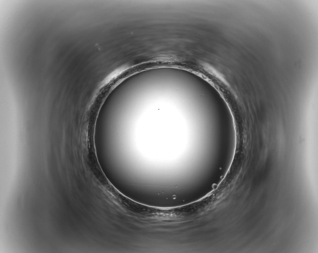 X0000085311315200703161445