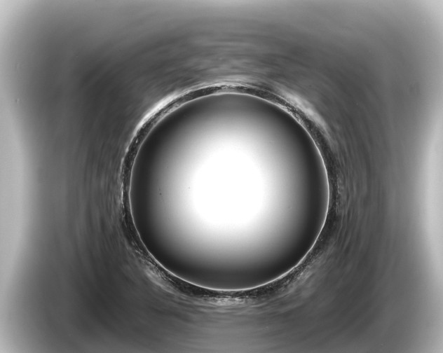 X0000085311316200703161445