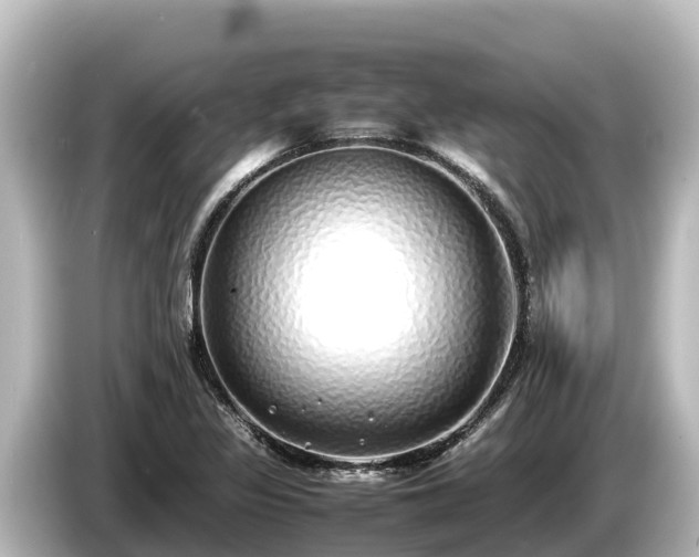 X0000085311317200703161445