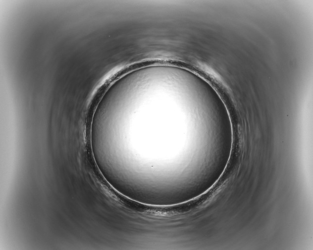 X0000085311318200703161445