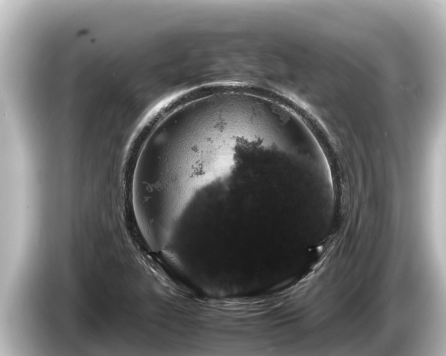X0000085311319200703161445