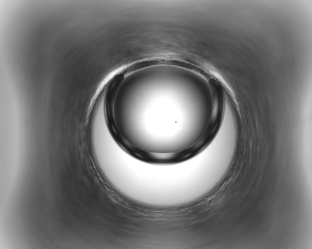 X0000085311320200703161445