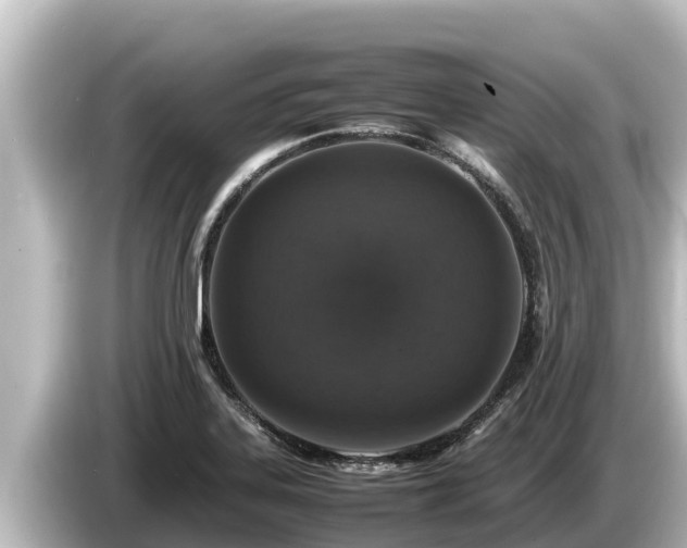 X0000085311323200703161445