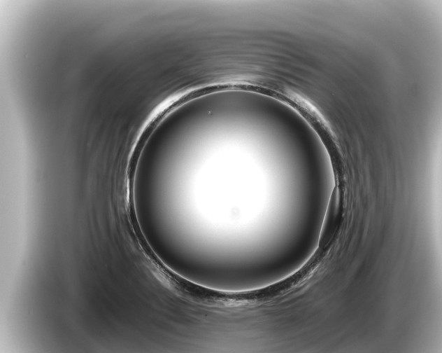 X0000085311324200703161445