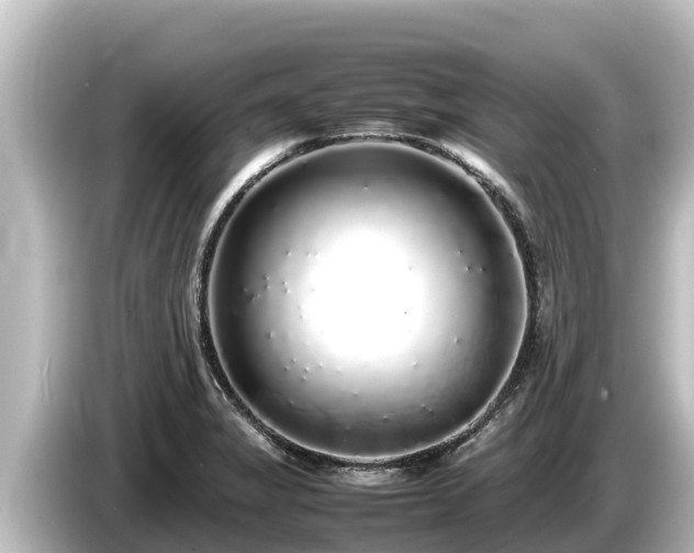 X0000085311325200703161445