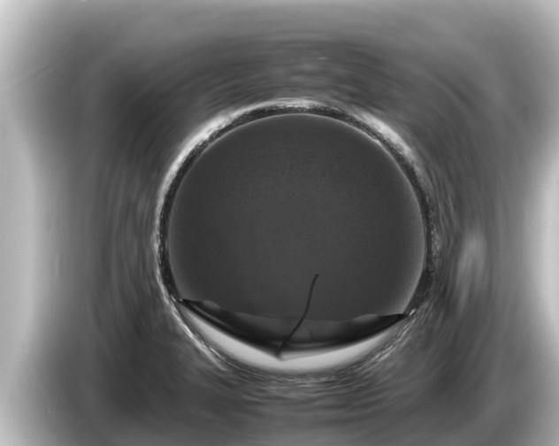 X0000085311327200703161445