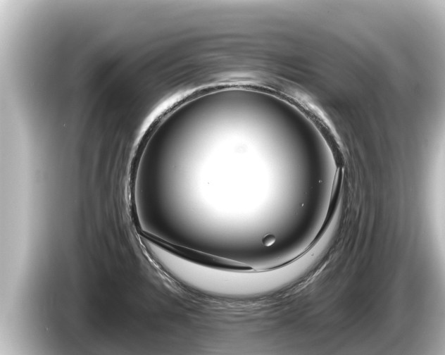 X0000085311328200703161445
