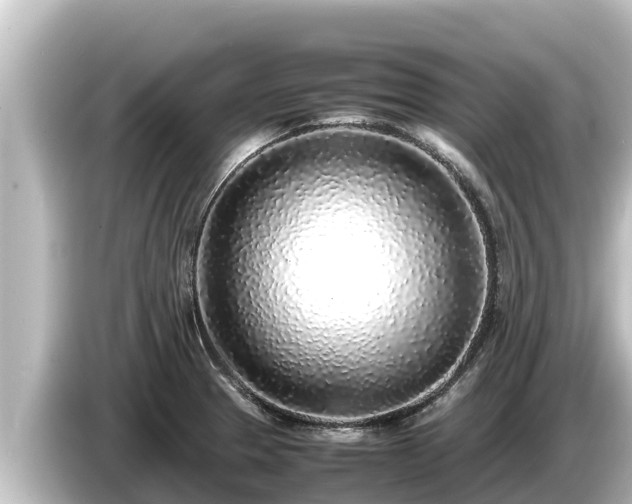 X0000085311329200703161445