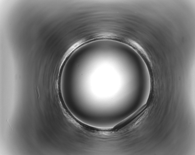 X0000085311330200703161445