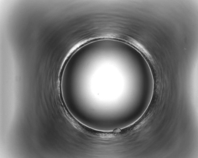 X0000085311332200703161445