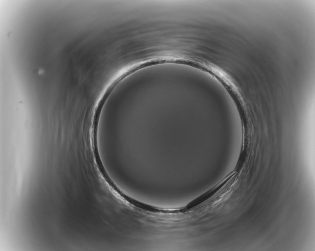 X0000085311334200703161445