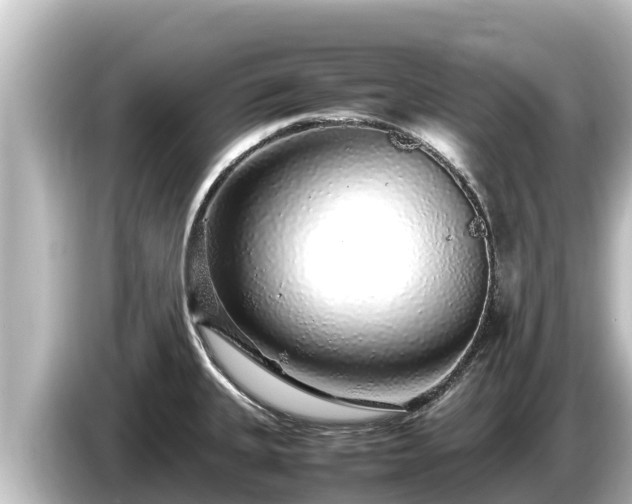X0000085311335200703161445