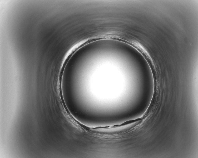 X0000085311336200703161445
