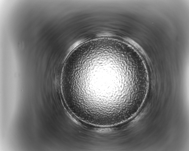 X0000085311337200703161445