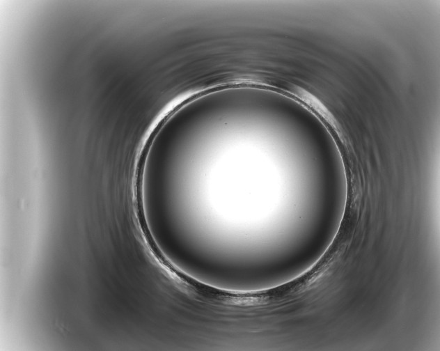 X0000085311339200703161445