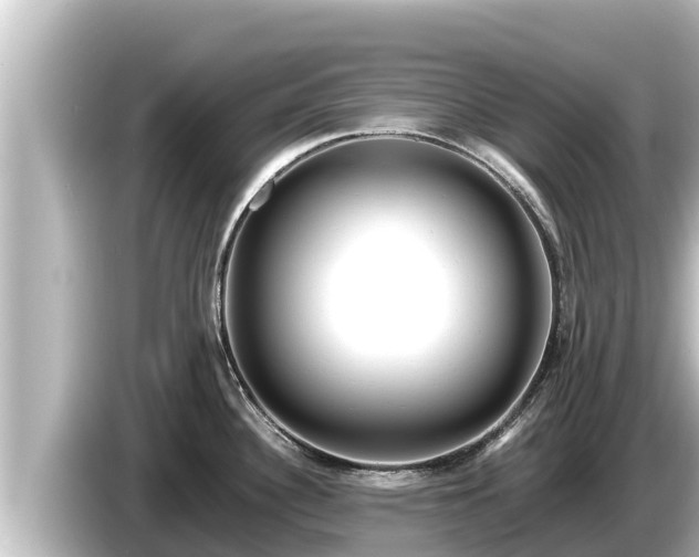 X0000085311340200703161445