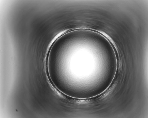 X0000085311341200703161445