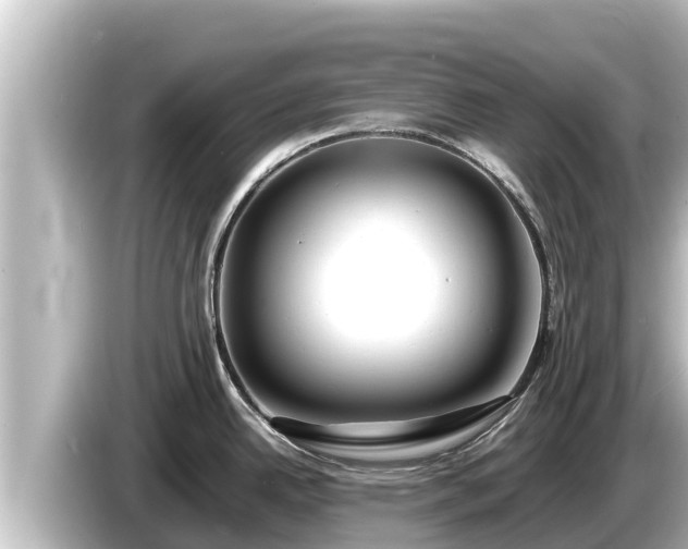 X0000085311342200703161445