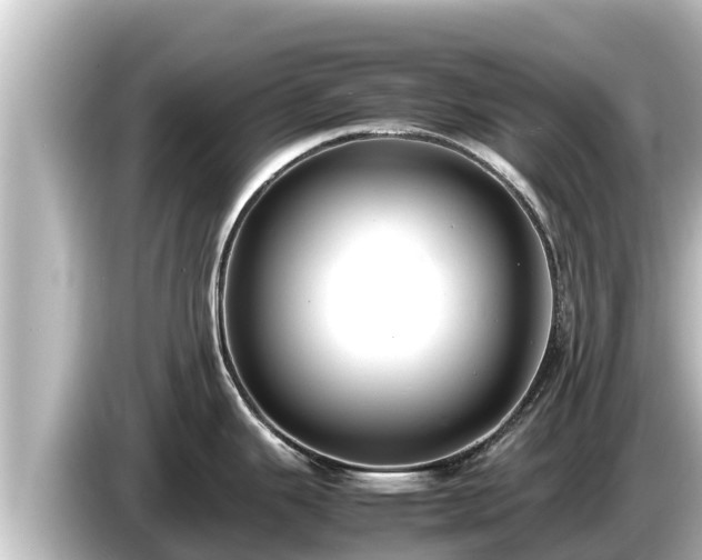 X0000085311343200703161445