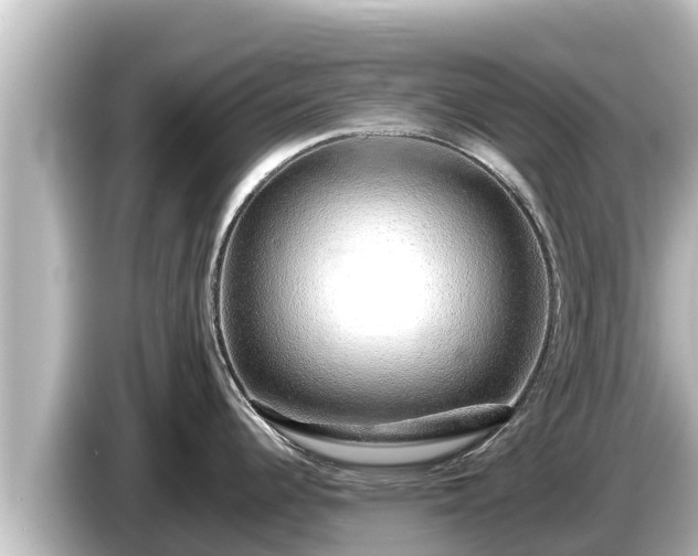 X0000085311344200703161445