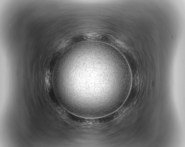 X0000085311346200703161444