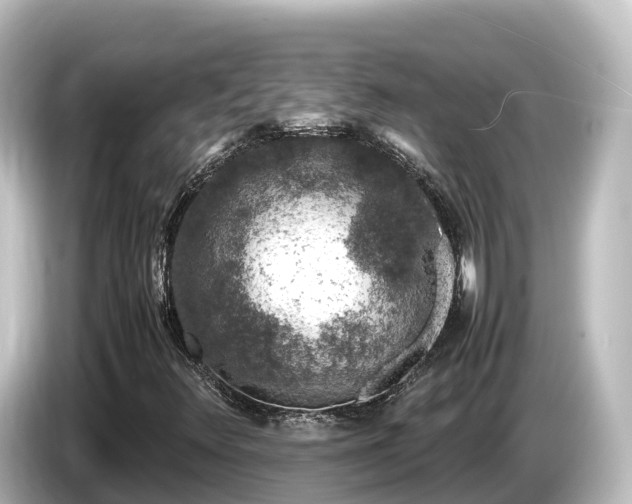 X0000085311348200703161444