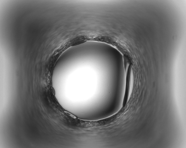 X0000085311349200703161444
