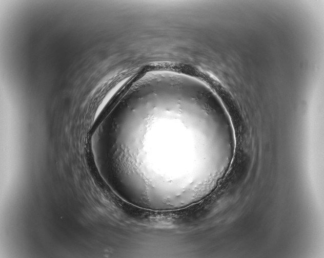X0000085311351200703161444