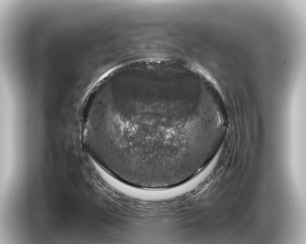 X0000085311352200703161444
