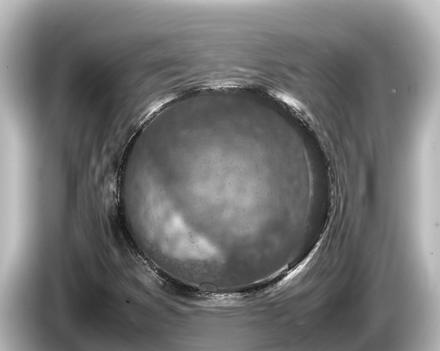 X0000085311353200703161444