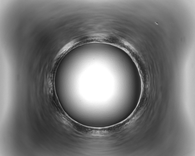 X0000085311354200703161444
