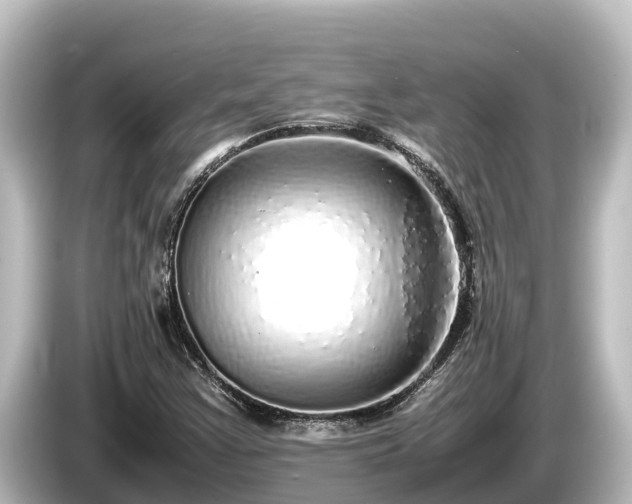X0000085311355200703161444