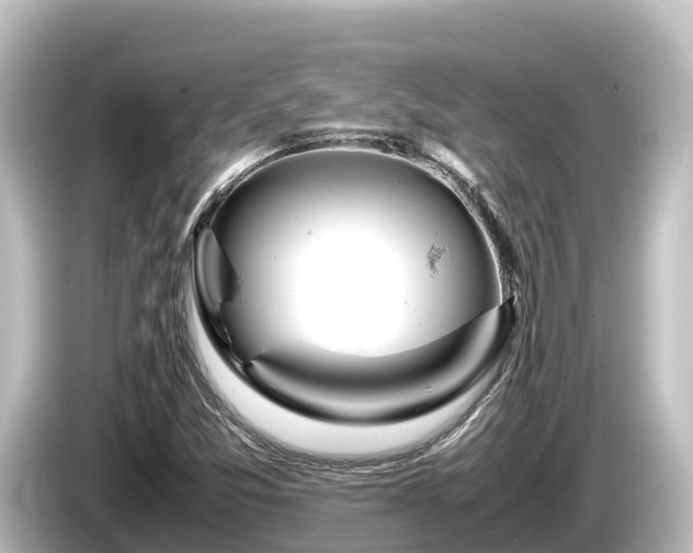 X0000085311357200703161444