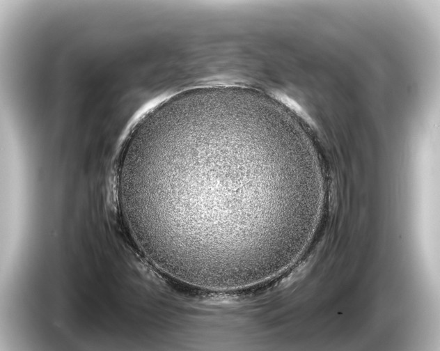 X0000085311358200703161444