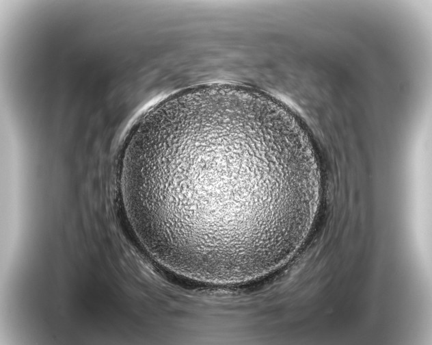 X0000085311359200703161444