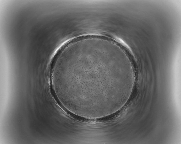 X0000085311360200703161444