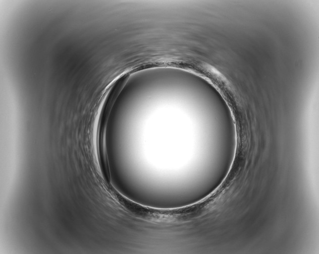 X0000085311361200703161444