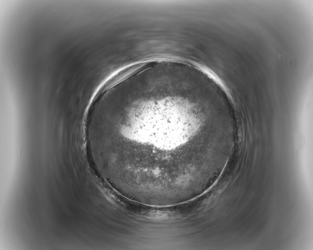 X0000085311364200703161444