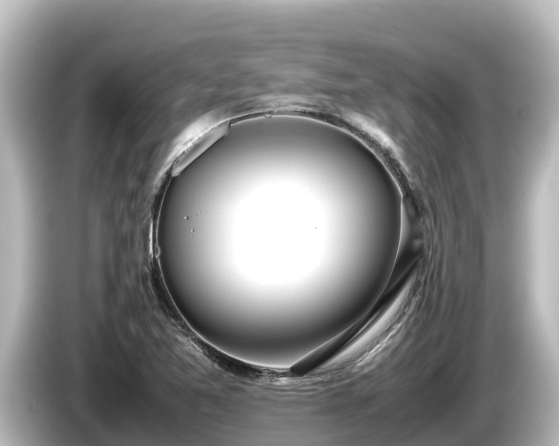 X0000085311365200703161444