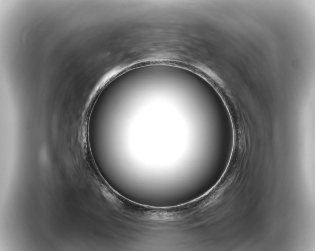 X0000085311366200703161444