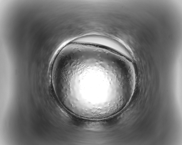 X0000085311367200703161444
