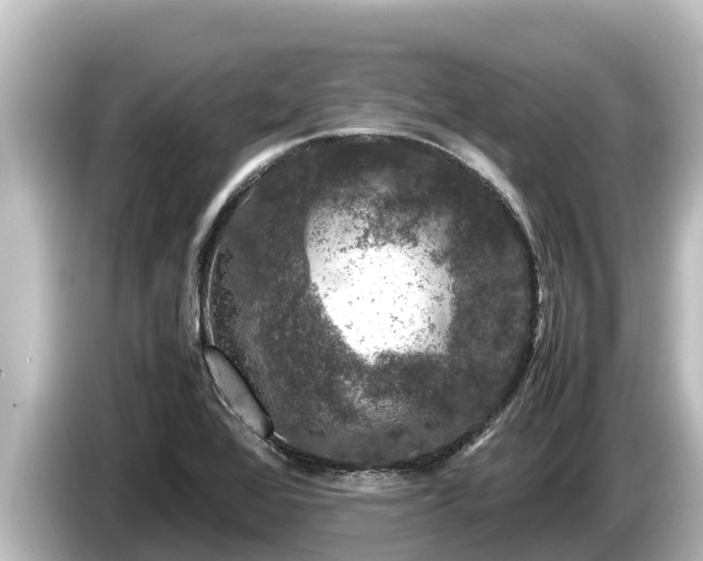 X0000085311368200703161444