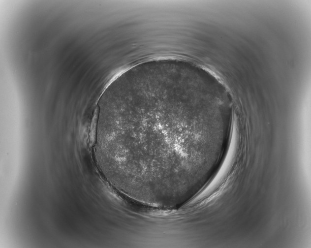 X0000085311369200703161444