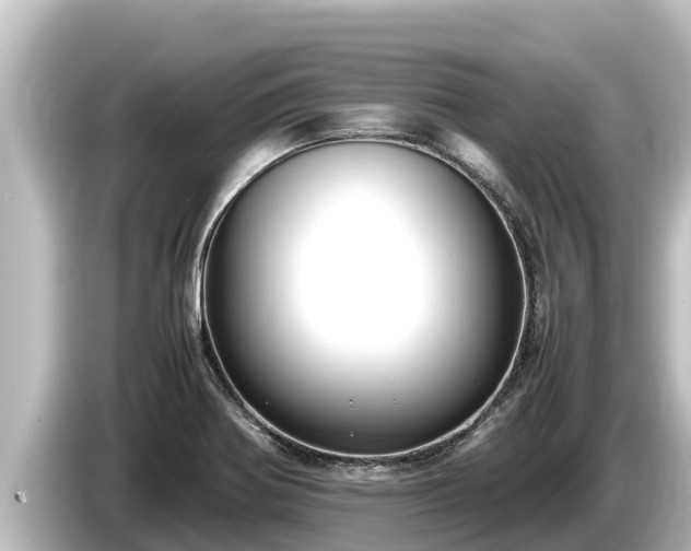 X0000085311370200703161444
