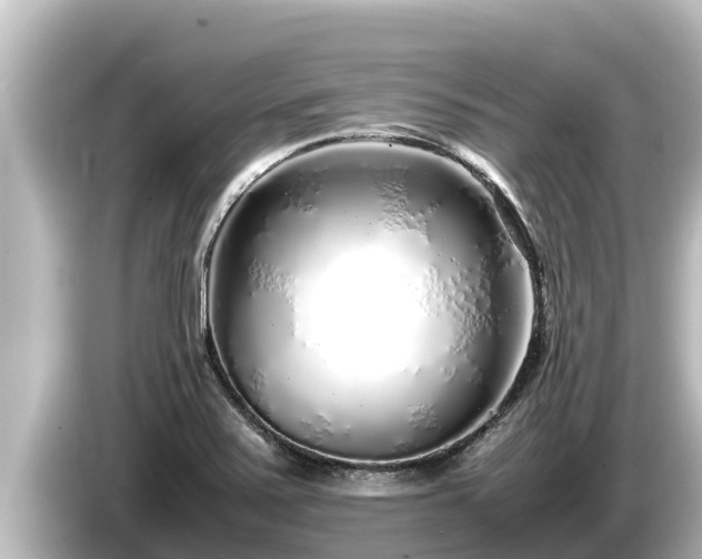 X0000085311371200703161444