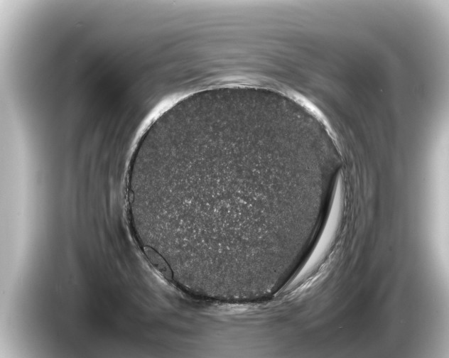X0000085311373200703161444
