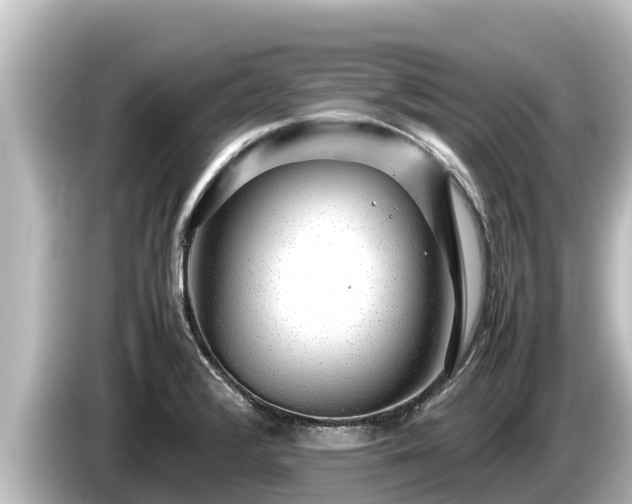 X0000085311376200703161444